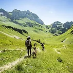 Alpina Al4 Mountain & Quiet 4 Pers Châtel