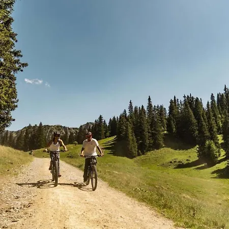 Alpina Al4 Mountain & Quiet 4 Pers * Chatel