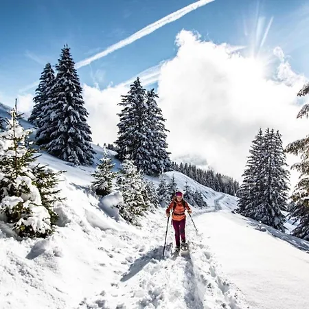 Alpina Al4 Mountain & Quiet 4 Pers *