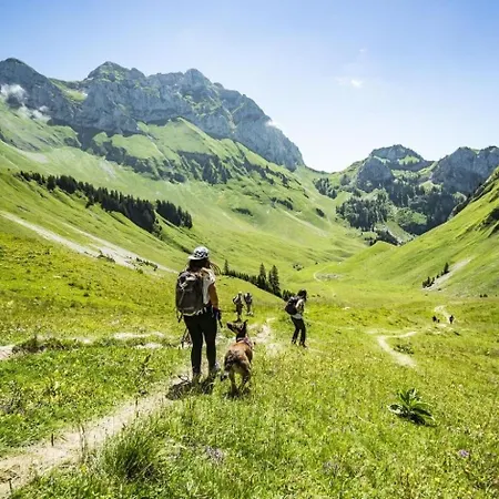 Alpina Al4 Mountain & Quiet 4 Pers Châtel