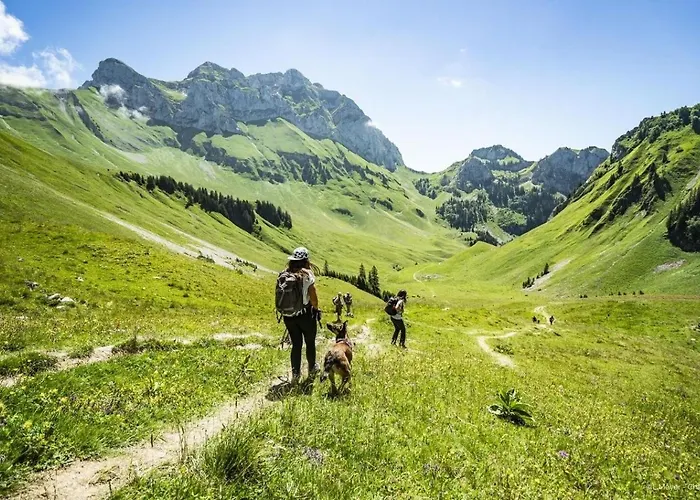 Alpina Al4 Mountain & Quiet 4 Pers Châtel
